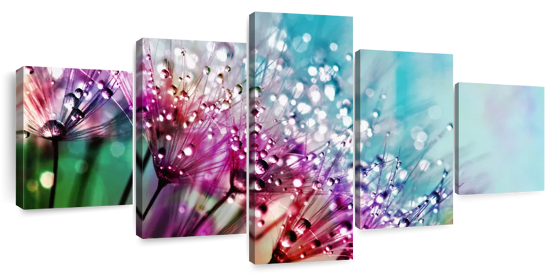 Colorful Dew Wall Art
