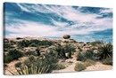 Cactus Desert Wall Art
