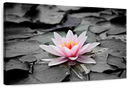 Lotus Flower Wall Art