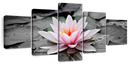 Lotus Flower Wall Art