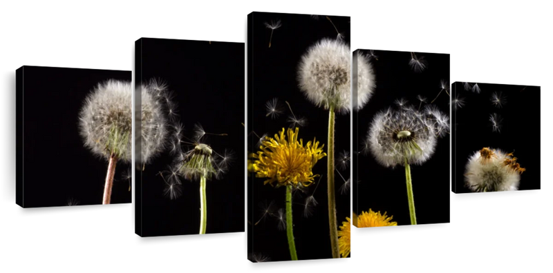 Dandelion In The Wind Wall Art