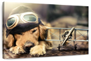 Dog Pilot Wall Art