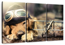Dog Pilot Wall Art