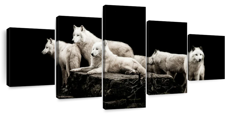 White Wolves Wall Art