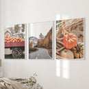 Autumn Pumpkin Set of 3 Prints. Rustic Fall Harvest Decor by Wall Art Set