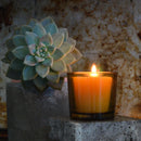 Pure Beeswax Votive Candles by Bluecorn Candles