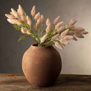 Pussytail  Grass Spray