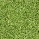 MSI Evergrass®Putting Green Turf 78