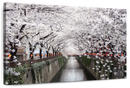 Sakura Passage Wall Art