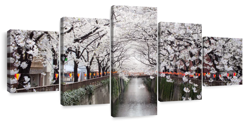 Sakura Passage Wall Art