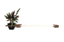 Cat Hammock Wall with Planter