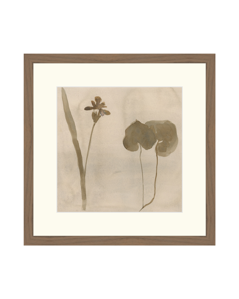 Botanical Thoughts II