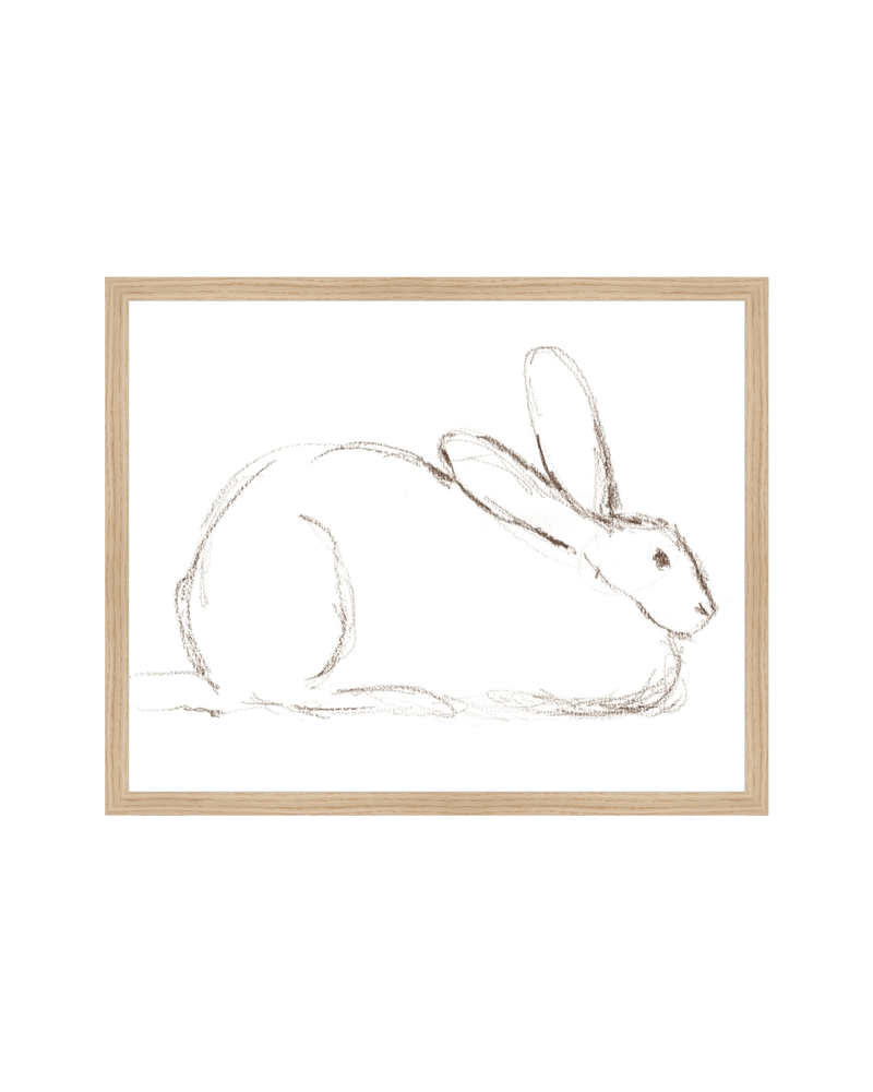 Bunny Charcoal Sketch