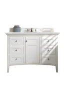 James Martin Palisades 48" Single Bathroom Vanity, Bright White