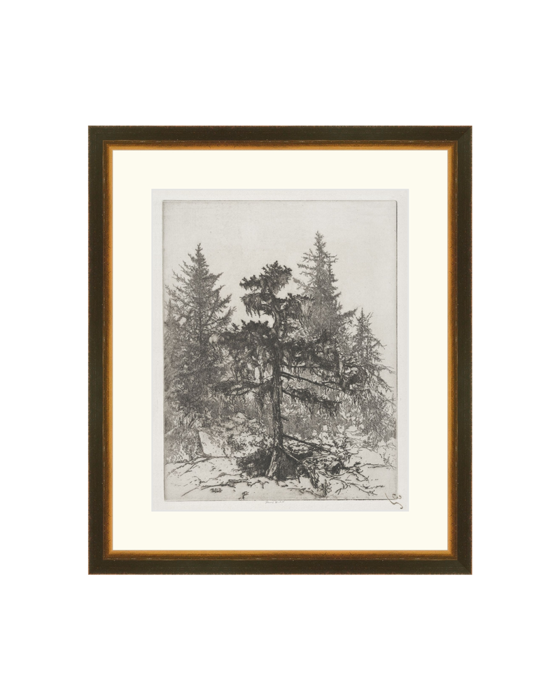 Pine Etching