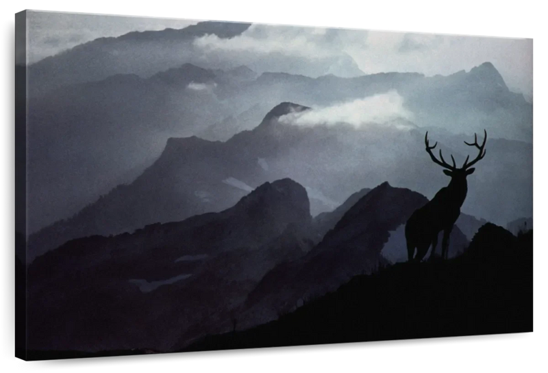 Elk Summit Wall Art