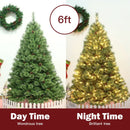 6 Feet Pre-Lit PVC Artificial Carolina Pine Tree with LED Lights by DirectDeals