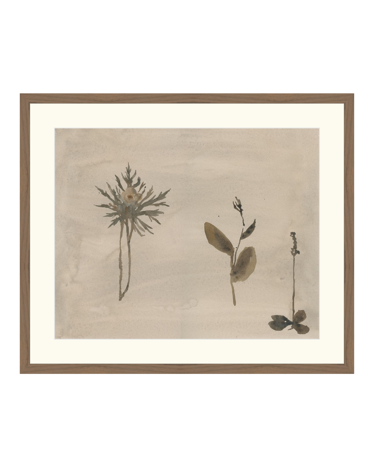 Botanical Thoughts IV, photo 10 of 25