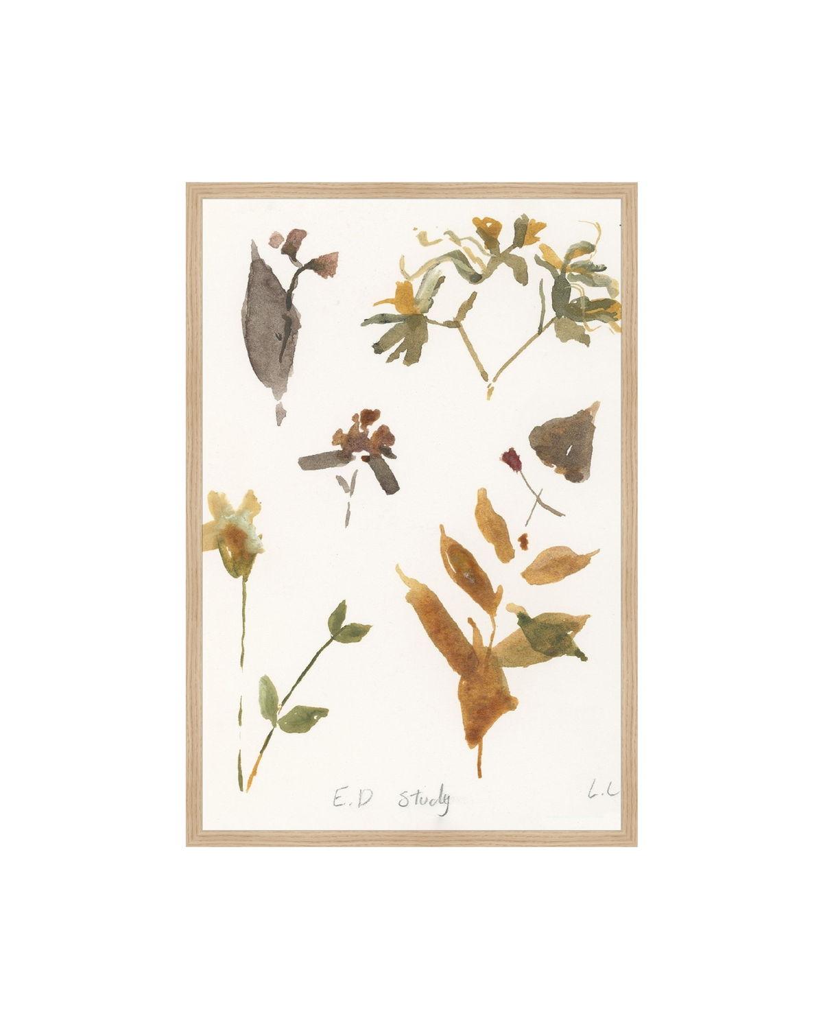 E.D Botanical Study, photo 14 of 34