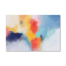Rainbow Skies Canvas