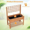 Raised Garden Bed with Trellis Wooden Elevated Planter Box with Legs by LJGDeals