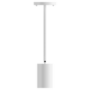 Rayhil CYL20 Revolve Cylinder Surface/Pendant Mounts