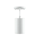 Rayhil CYL20 Revolve Cylinder Surface/Pendant Mounts
