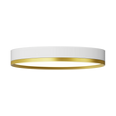 Rayhil INOVA 9" 15W Surface Mount Selectable CCT
