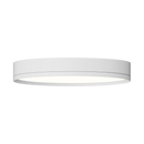 Rayhil INOVA 9" 15W Surface Mount Selectable CCT
