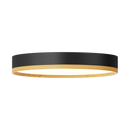 Rayhil INOVA 12" 18W Surface Mount Selectable CCT