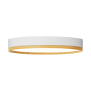 Rayhil INOVA 12" 18W Surface Mount Selectable CCT