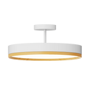 Rayhil INOVA 9" 15W Stem Mount Selectable CCT