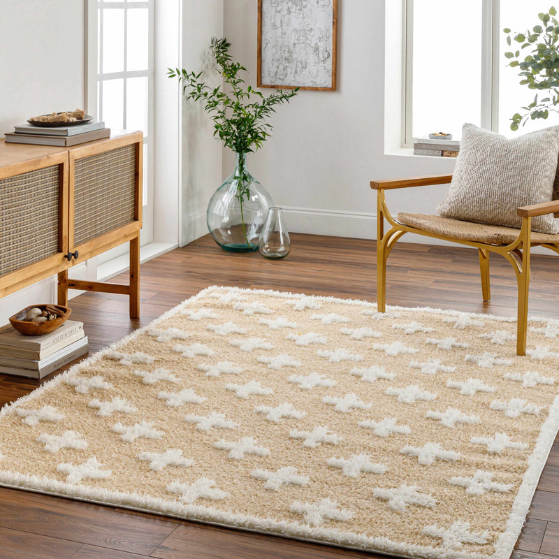 Satu Beige Area Rug