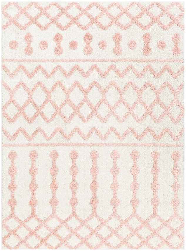 Daris Modern Coral Area Rug