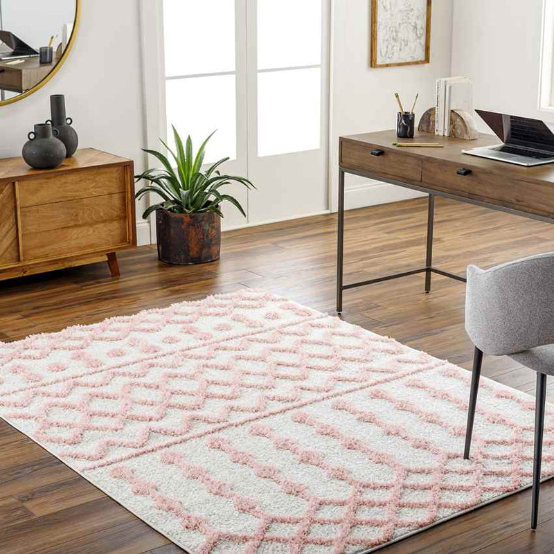 Daris Modern Coral Area Rug