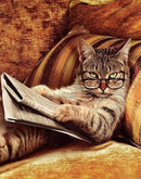 Reading Cat