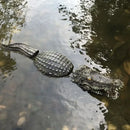 Realistic dark green & beige floating crocodile head garden water decor by Decorbites