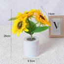 GobekUsa Rechargeable Sunflower LED Night Light for Bedroom