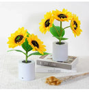 GobekUsa Rechargeable Sunflower LED Night Light for Bedroom