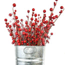 Red Berry Picks by Lee Display