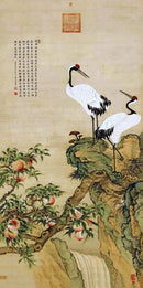 Red-Crowned Crane