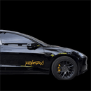 Reflective Robotaxi Decal | Tesla Body & Window Waterproof PVC Sticker