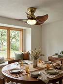 Remo Nordic Ceiling Fan Light