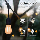 Replacement Bulb PRO LED Energy Efficient 2 Watt Warm White 2500K Dimmable Bulb - 12 Pack - E26 Base
