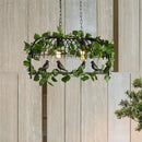 GobekUsa Retro Birdcage Island Light Fixture - Metal LED Plant Ceiling Lamp in Black, with 2/3/4 Bulbs