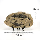 GobekUsa Dino Fossil Resin Craft: Retro Animal Statue, Indoor Living Room Decor & Gift