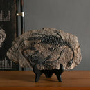 GobekUsa Dino Fossil Resin Craft: Retro Animal Statue, Indoor Living Room Decor & Gift