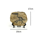 GobekUsa Dino Fossil Resin Craft: Retro Animal Statue, Indoor Living Room Decor & Gift