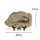 GobekUsa Dino Fossil Resin Craft: Retro Animal Statue, Indoor Living Room Decor & Gift