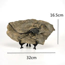 GobekUsa Dino Fossil Resin Craft: Retro Animal Statue, Indoor Living Room Decor & Gift